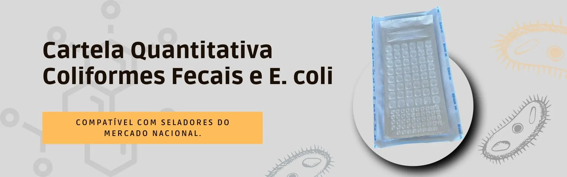 cartela-q1